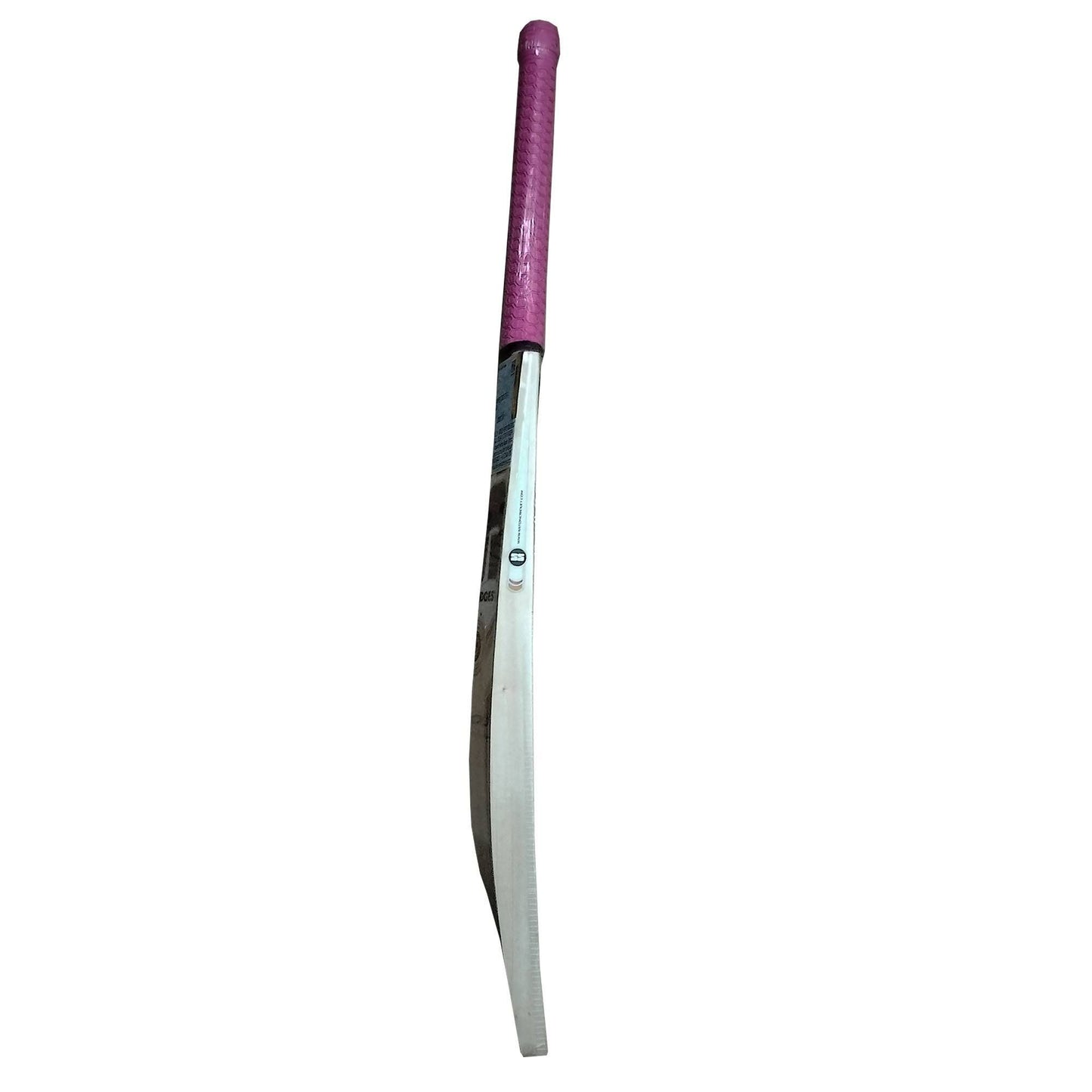 SS Gladiator Kashmir Willow Cricket Bat