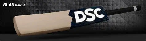 DSC BLAK 65 English Willow Cricket Bat