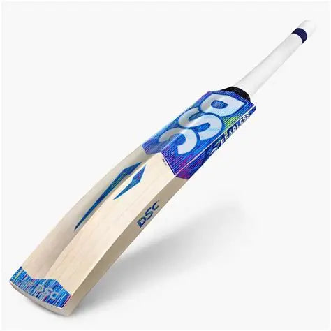 DSC BLU 100 English Willow Cricket Bat