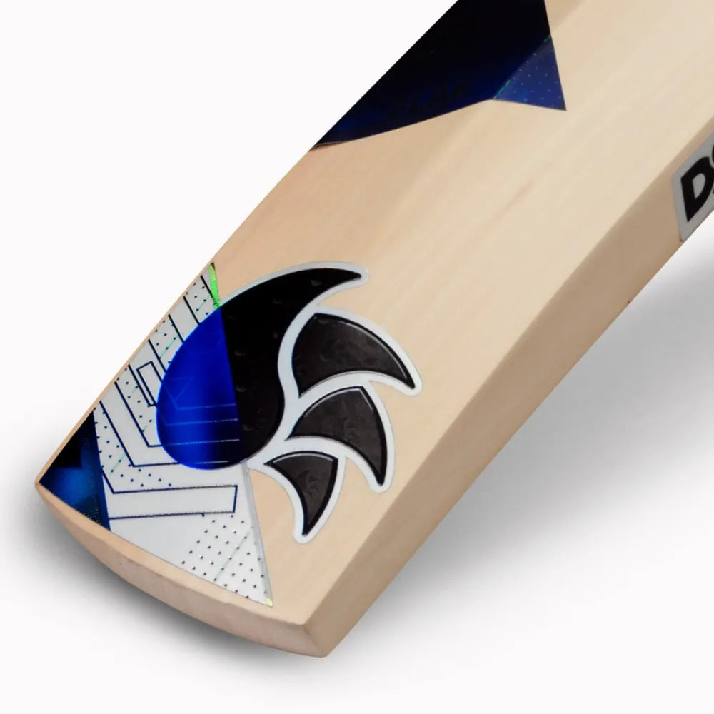 DSC Blak 100 English Willow Cricket Bat