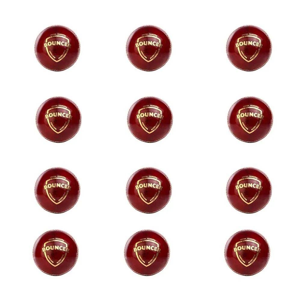 SG Bouncer Cricket Ball 12 Ball set