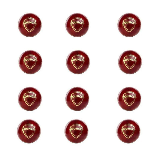 SG Bouncer Cricket Ball 12 Ball set